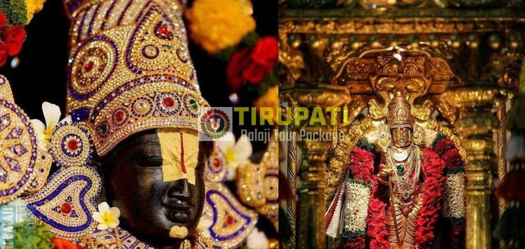 1 Night-2 Days Tirupati Tirumala, Kanipakam, Srikalahasti, Tiruchanur Tour Package